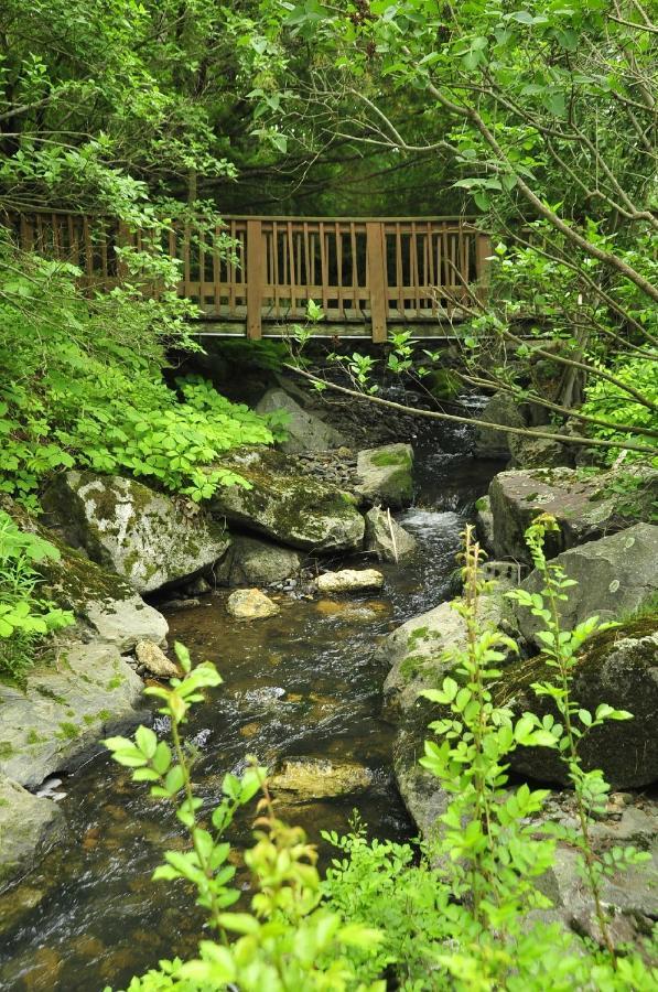 Stay Berkshires วิลเลียมส์ทาวน์ ภายนอก รูปภาพ